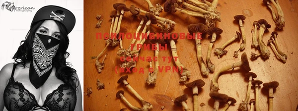 прущий лед Абинск